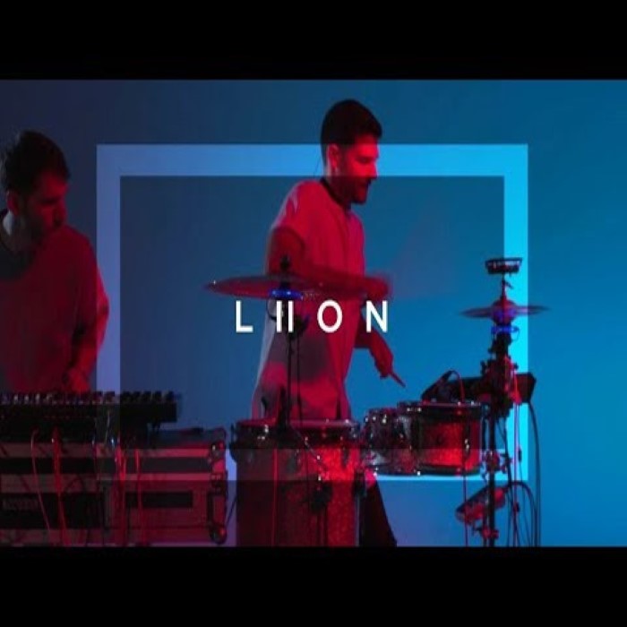 LIION