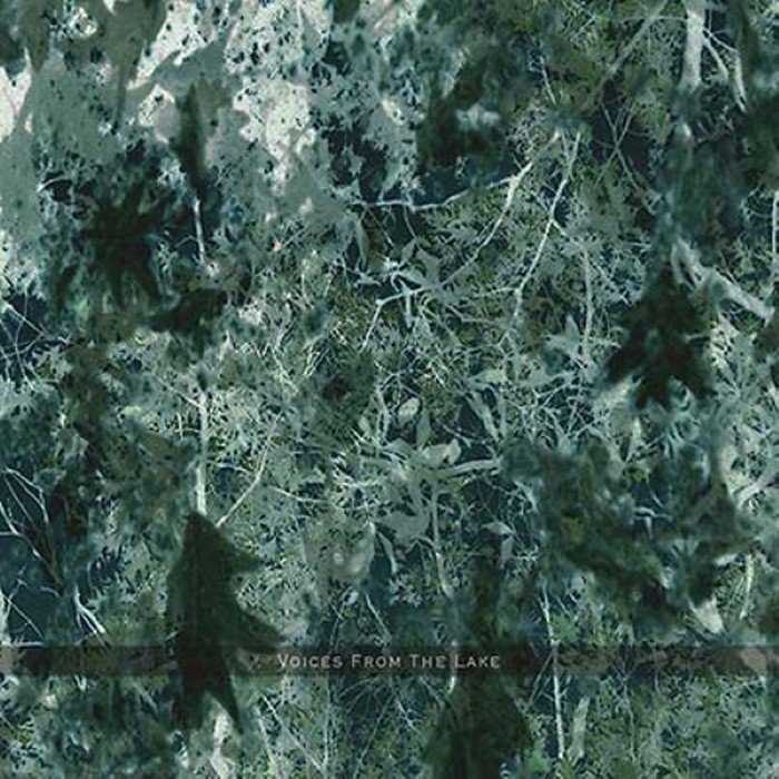 VOICES FROM THE LAKE