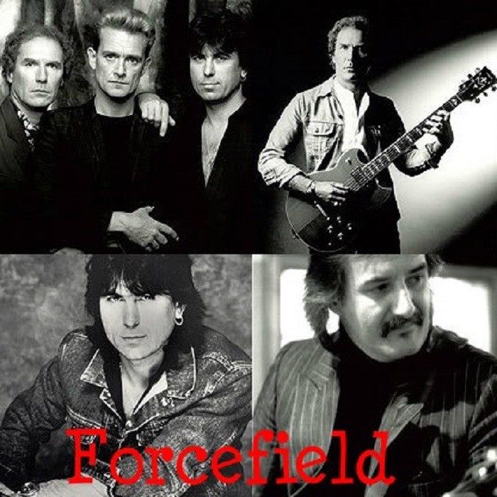 Forcefield | TheAudioDB.com