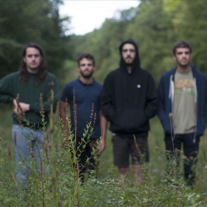 The Hotelier