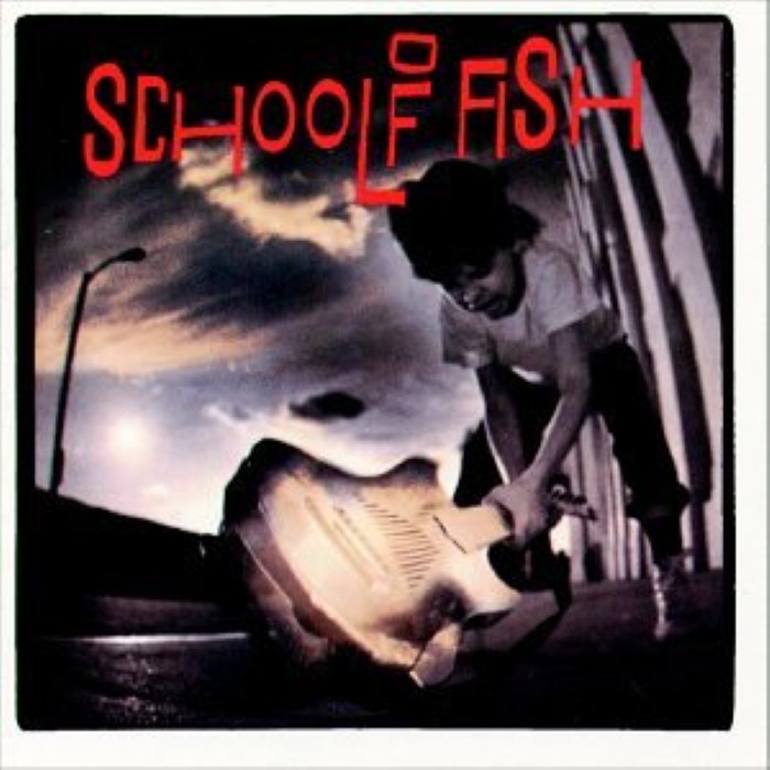 School of Fish