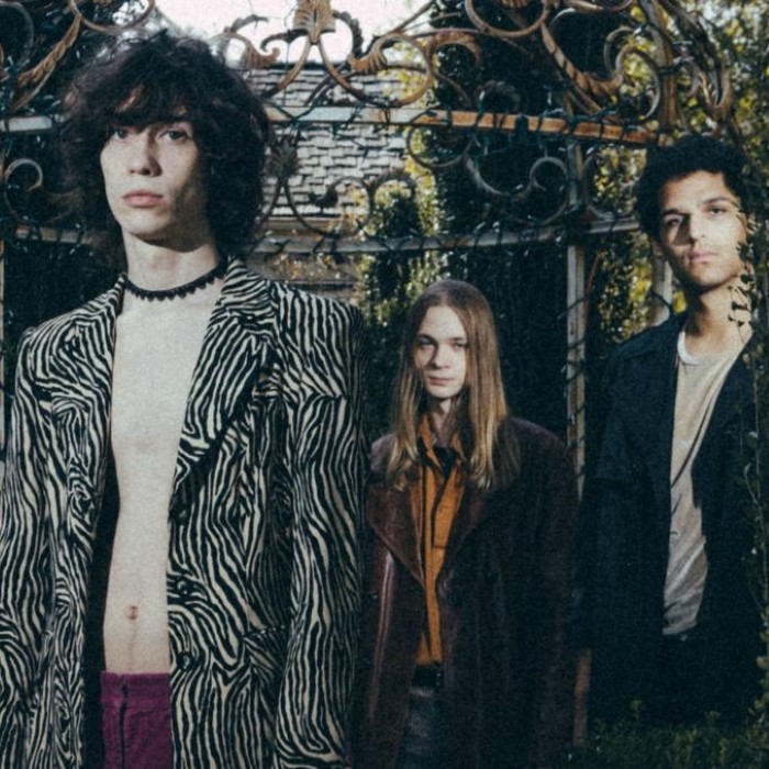 The Cuckoos