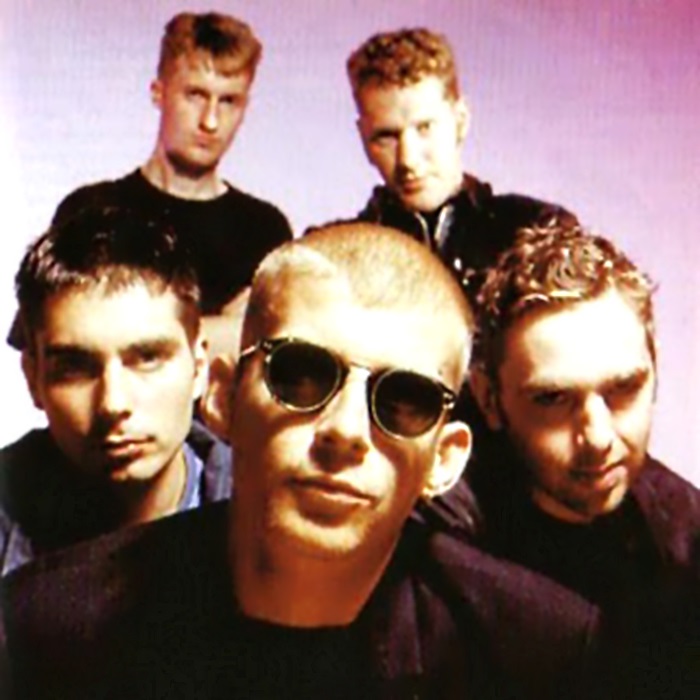 New Fast Automatic Daffodils