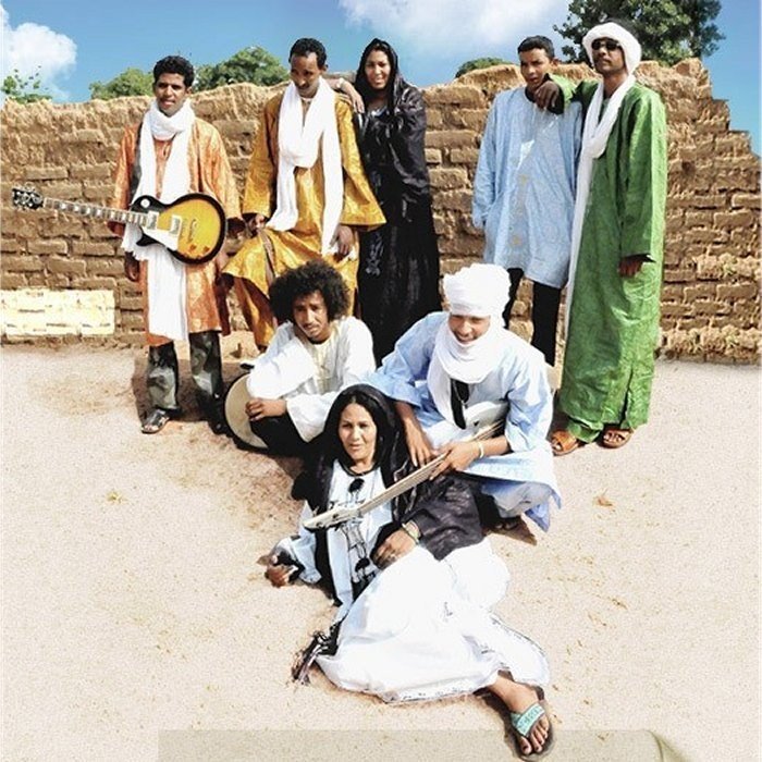 Tamikrest | TheAudioDB.com
