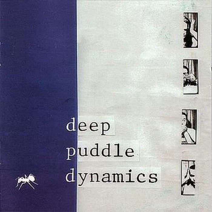 Deep Puddle Dynamics