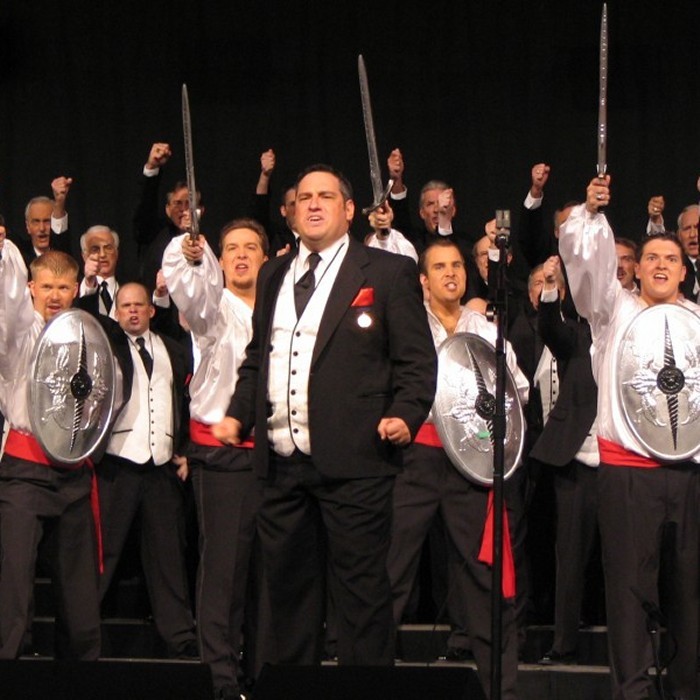 The Ambassadors of Harmony