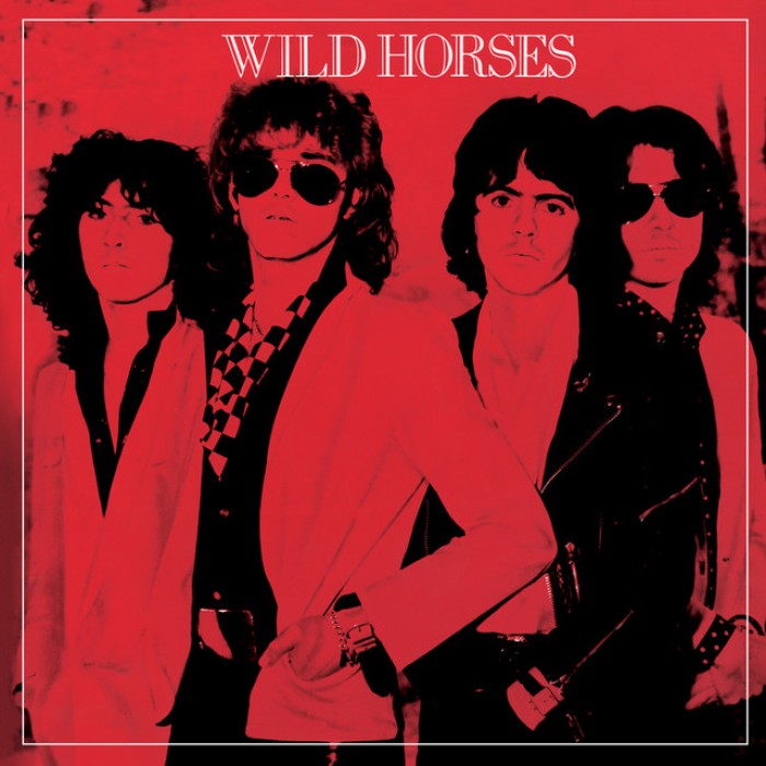 Wild Horses — Photo