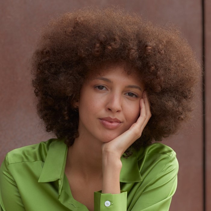 Nala Sinephro TheAudioDB Com 