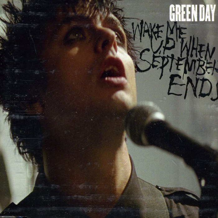 Wake Me Up When September Ends
